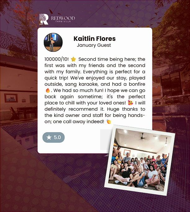 Guest review image 5